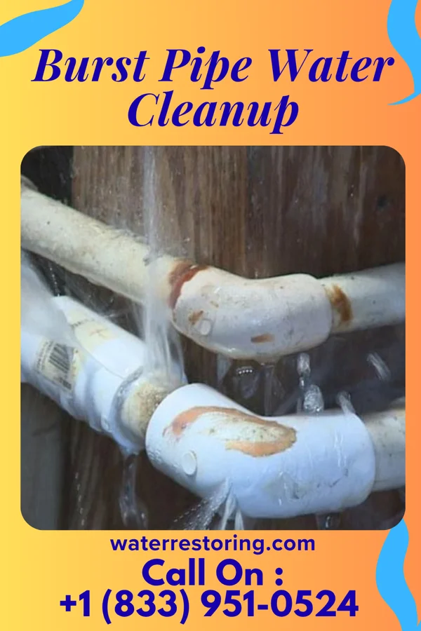 Burst Pipe Water Cleanup in Salida, CO